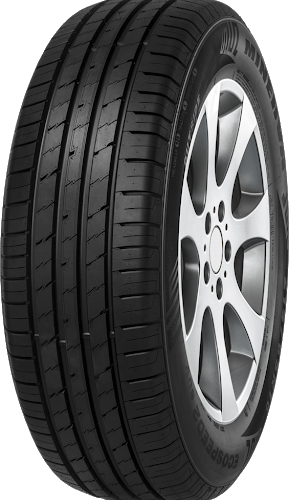 235/65R17 108V XL SUV/4X4 EcoSpeed2 SUV